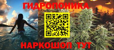 индика Бузулук