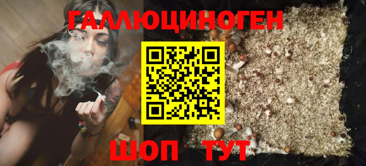 Кудымкар  Галлюциногенные грибы MAGIC MUSHROOMS  Галлюциногенные грибы Psilocybine cubensis  Вход с VPN 